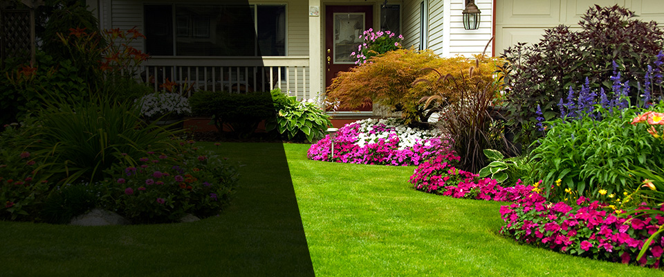 Reedsville Landscapers